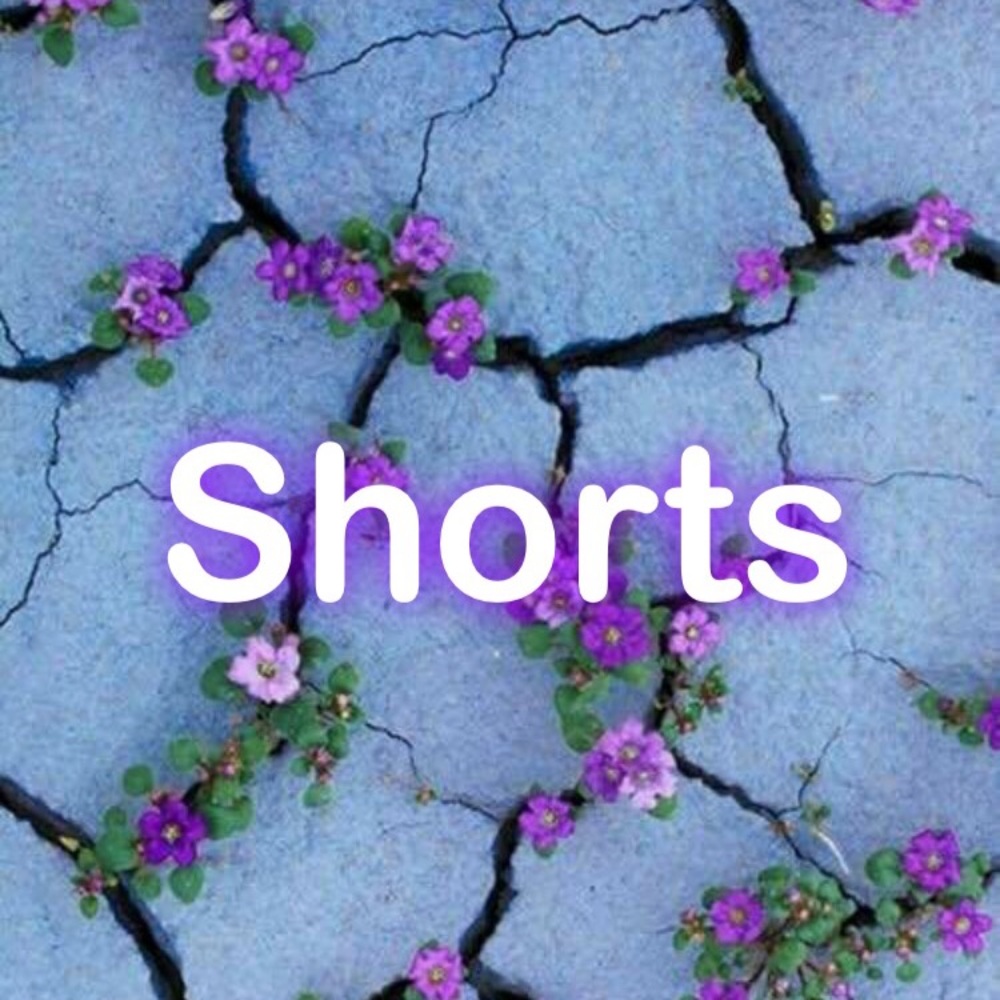 Shorts section of my closet